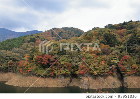 紅葉谷吊橋 紅葉谷吊橋 95951836