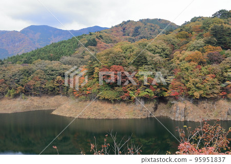 紅葉谷吊橋 紅葉谷吊橋 95951837