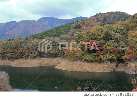 紅葉谷吊橋 紅葉谷吊橋 95951838