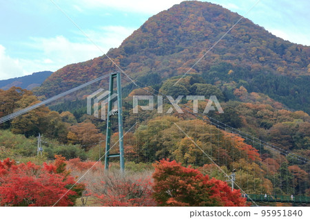 紅葉谷吊橋 95951840