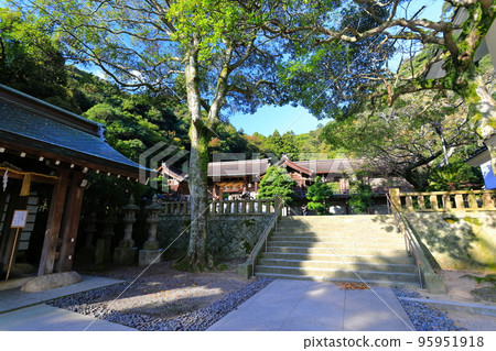 [島根縣]鮮綠色的三保神社（神門） 95951918