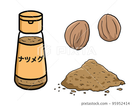 肉荳蔻的插圖 肉荳蔻的插圖 95952414