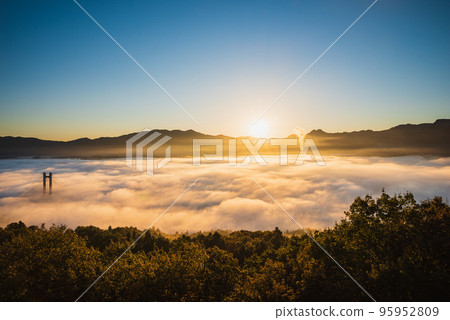 Chichibu's sea of clouds in the morning sun 95952809