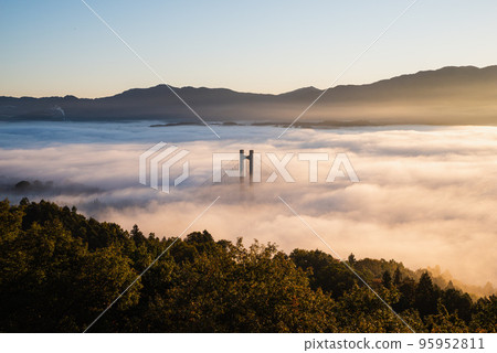 清晨陽光下的秩父雲海 95952811