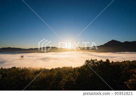 清晨陽光下的秩父雲海 清晨陽光下的秩父雲海 95952821