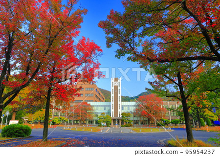 [Okayama Prefecture] Okayama University Central Library and autumn leaves (Tsushima Campus) 95954237