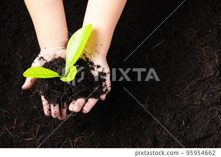 Top view of child hand planting young tree seedling on black soil at the garden, Concept of global pollution, Save Earth day and Hand Environment conservation 95954662