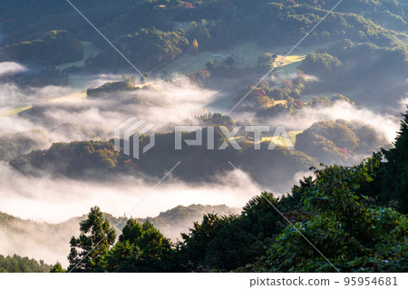 《埼玉縣》秩父雲海和箕山公園的景色 95954681