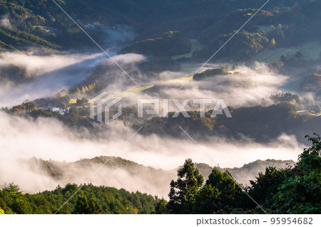 《Saitama Prefecture》 View of Chichibu Sea of Clouds and Minoyama Park 《Saitama Prefecture》 View of Chichibu Sea of Clouds and Minoyama Park 95954682