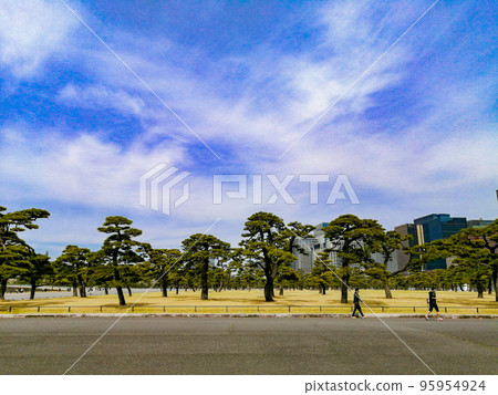Well-kept trees and sky around the Imperial Palace Well-kept trees and sky around the Imperial Palace 95954924