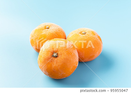 冷凍橙子 冷凍橙子 95955047