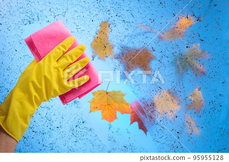 Hand in rubber glove cleaning window on a blue sky background Hand in rubber glove cleaning window on a blue sky background 95955128