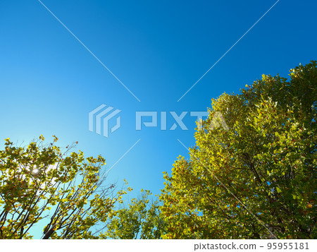 Refreshing autumn scenery Refreshing autumn scenery 95955181