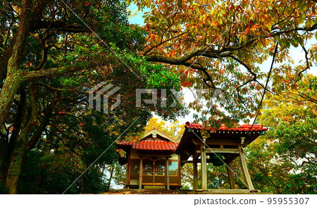 Autumn at Atago Shrine 95955307