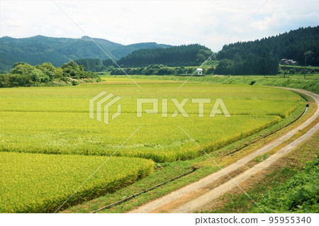 吉澤站附近的百合高原鐵道（鳥海山麓線）的景色（田園風光） 95955340
