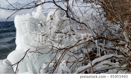 Forest covered in snow Winter in Urabandai, Fukushima Prefecture Forest covered in snow Winter in Urabandai, Fukushima Prefecture 95955493