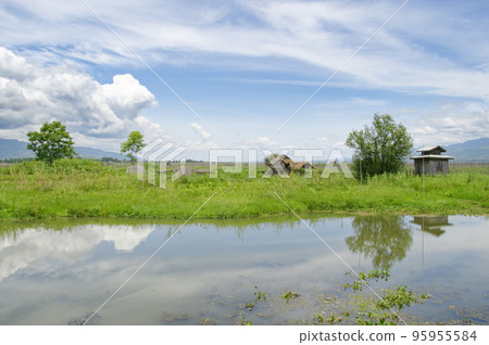 Inle lake floating fields Inle lake floating fields 95955584
