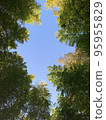 Look up at the sky  95955829