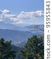 Fuji in the morning 95955843