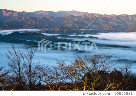 《埼玉縣》秩父黎明雲海 《埼玉縣》秩父黎明雲海 95955881