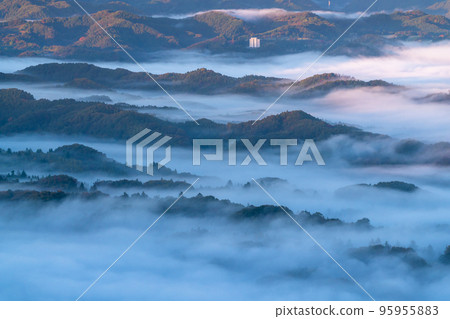 《埼玉縣》秩父黎明雲海 95955883