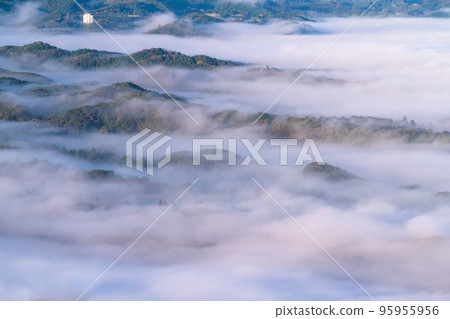 《Saitama Prefecture》 Chichibu, Dawn Sea of Clouds 95955956