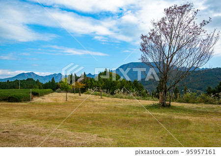 Historical Village Tamine - Shitara Town, Aichi Prefecture Historical Village Tamine - Shitara Town, Aichi Prefecture 95957161
