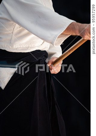 柔術示範 95957299