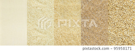 Various grain cereals banner Various grain cereals banner 95958171