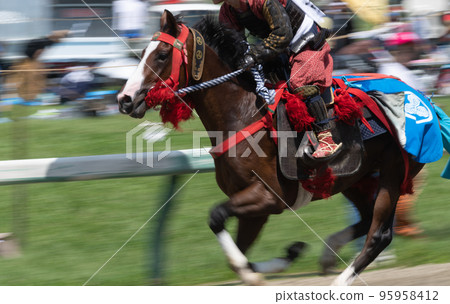 Cavalry warrior Cavalry warrior 95958412