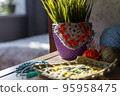 cozy sunny morning at home. Knitting and plant 95958475