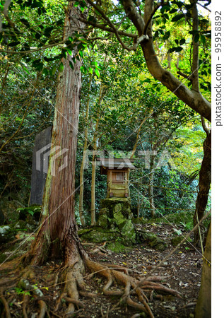 Okunoin, Wakamiko Shrine in Uedano, Arakawa, Chichibu City, Saitama Prefecture Okunoin, Wakamiko Shrine in Uedano, Arakawa, Chichibu City, Saitama Prefecture 95958892