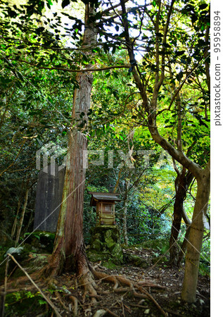 埼玉縣秩父市荒川上野的奧之院若神子神社 95958894