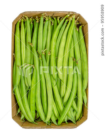 Fresh green beans in a cardboard punnet. Young, unripe fruits of a cultivar of the common bean or also French bean, Phaseolus vulgaris. Close-up, isolated, from above, on white background, food photo. Fresh green beans in a cardboard punnet. Young, unripe fruits of a cultivar of the common bean or also French bean, Phaseolus vulgaris. Close-up, isolated, from above, on white background, food photo. 95958909