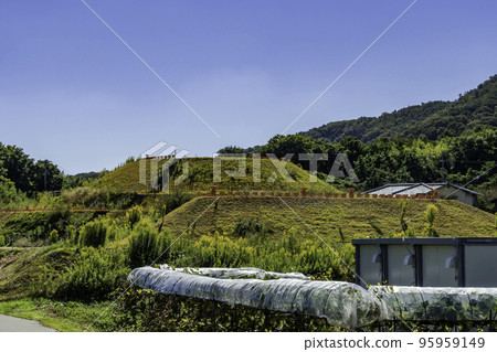 Senzoku Burial Mound Tsuzoyama No. 5 Burial Moulund 岡山縣岡山市 Senzoku Burial Mound Tsuzoyama No. 5 Burial Moulund 岡山縣岡山市 95959149