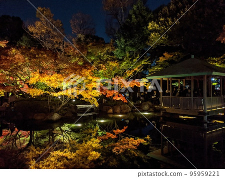 Autumn leaves lighted up 95959221