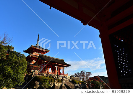 Autumn leaves of Kiyomizudera Autumn leaves of Kiyomizudera 95959239