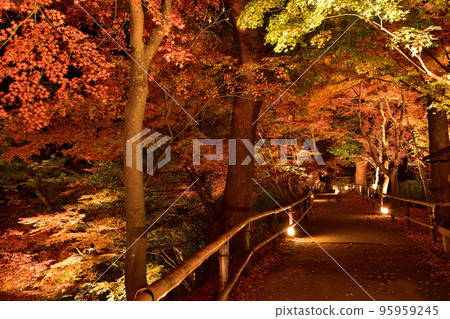北野天滿宮大土井紅葉園 95959245