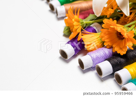 Multicolored threads and flowers on a white background with copy space for text. Greeting card for a seamstress, tailor, needlewoman and atelier for the holidays. Multicolored threads and flowers on a white background with copy space for text. Greeting card for a seamstress, tailor, needlewoman and atelier for the holidays. 95959466