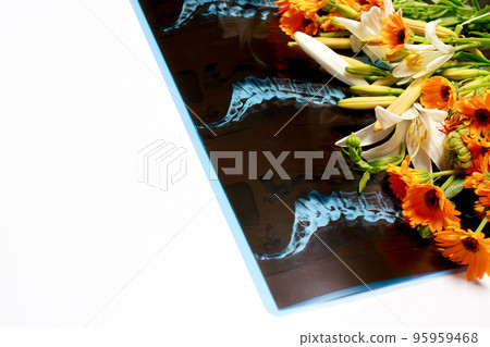 Computed tomography shot of the spine with flowers for congratulations on the day of radiologist, neurologist or traumatologist with place for text copy space on white background 95959468