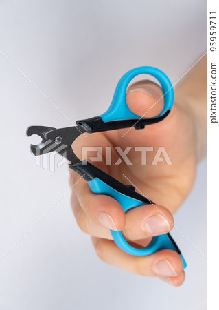 Pet nail clippers in human hands, top view 95959711