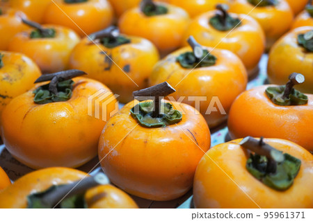 Persimmon after harvest06 Persimmon after harvest06 95961371