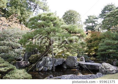 京都皇宮的Oike花園 95961375