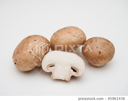 棕色蘑菇 棕色蘑菇 95961436