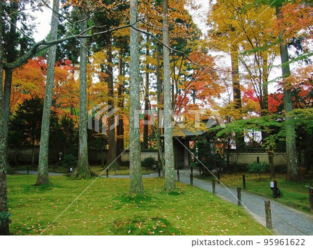 Kyoto: The precincts of Ohara Sanzen-in with autumn leaves Kyoto: The precincts of Ohara Sanzen-in with autumn leaves 95961622