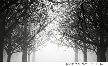 A walk in a dark, gloomy forest with fog and dust. 3D rendering illustration. A walk in a dark, gloomy forest with fog and dust. 3D rendering illustration. 95961628