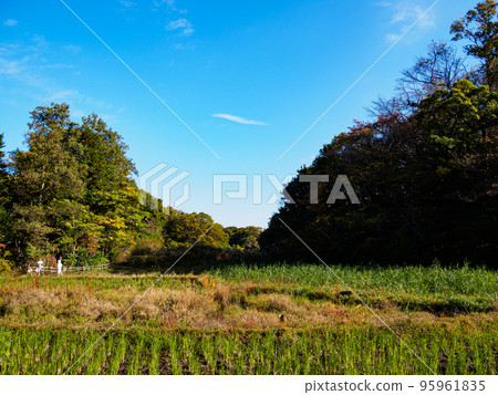 Maioka Furusato no Mori, the original landscape of Yokohama 95961835