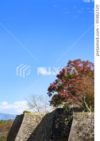 石垣和Oka城堡廢墟秋葉 石垣和Oka城堡廢墟秋葉 95962320