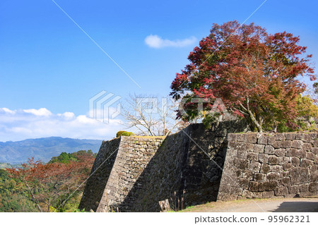 Ishigaki and autumn leaves of Oka castle ruins Ishigaki and autumn leaves of Oka castle ruins 95962321