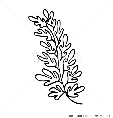 Vector branch and leave. Hand drawn floral elements. Vintage botanical doodle illustrations. Vector branch and leave. Hand drawn floral elements. Vintage botanical doodle illustrations. 95962441